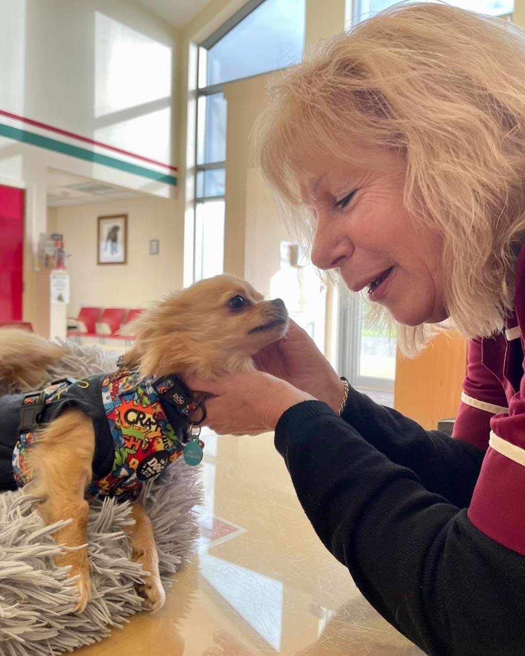 Rebecca welcoming a small nervous dog.